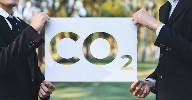 Understanding the Basics of Compliance Carbon Credits Markets: An Essential Guide