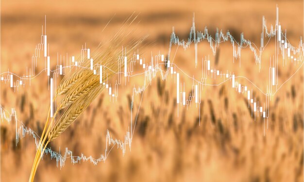 Wheat Market Review: Price Trends and Forecasts for the Upcoming Season